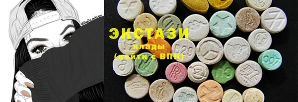 гидра Горняк