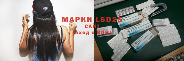 гидра Горняк