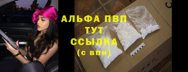 гидра Горняк