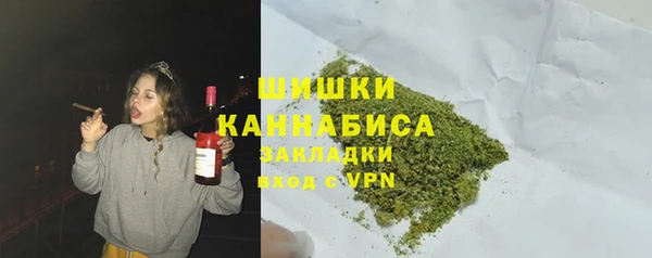 гидра Горняк