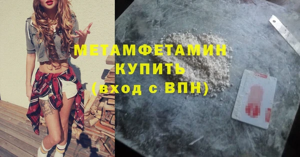 гидра Горняк