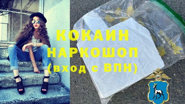 гидра Горняк