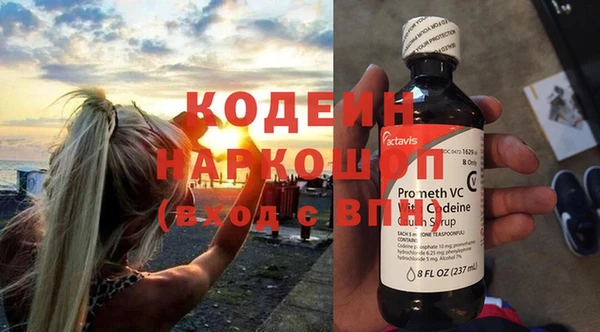 гидра Горняк