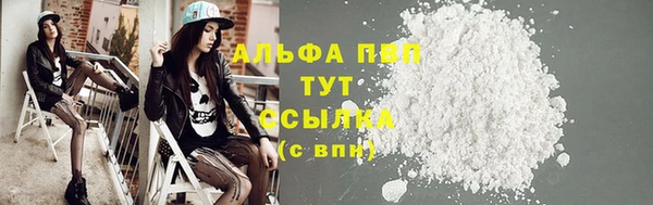 гидра Горняк