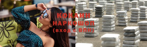 гидра Горняк