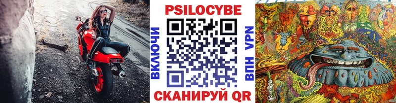Псилоцибиновые грибы Cubensis  Купить где  Кодинск 